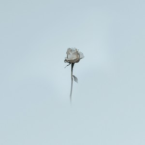 Ветик (Explicit)