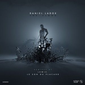 The Flood (Le Son Du Placard Remix)