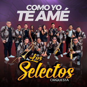 Como Yo Te Amé