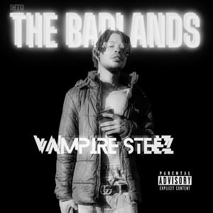 Freestyle Critical Bars (feat. 2wenty & Ivy Vanissh) (Explicit)