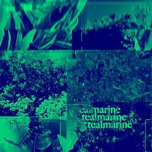 tealmarine