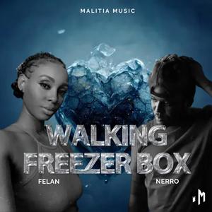 Walking freezer box (feat. Felan)