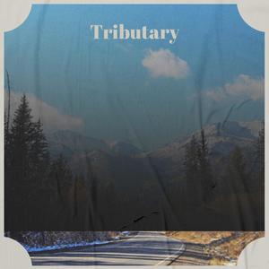 Tributary