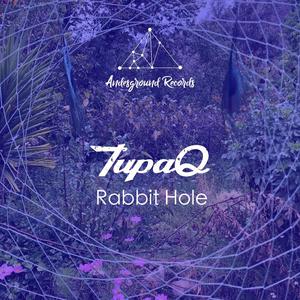 Rabbit Hole