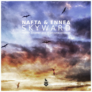 Skyward (Martin Zeidner Remix)