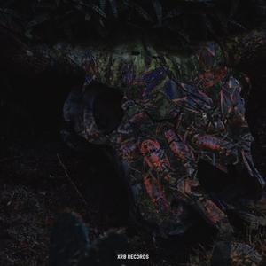 Həşərat (feat. Bageer) (Explicit)