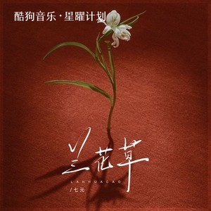 兰花草 (DJ铁柱版)