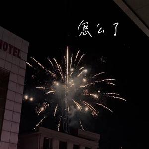 怎么了-不甜&何雨函