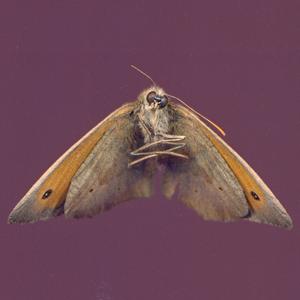 Dernier jour des vacances, devoirs pas encore faits