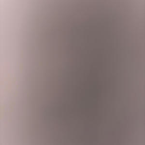 FiveFive (feat. WayneLoww) (Explicit)