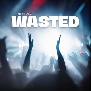 Wasted (Explicit)