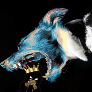 WiT(feat. O Fresh, thoughtsfornow, mxdnxght & Khurram)