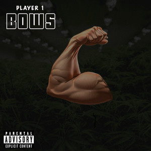 Bows (Explicit)