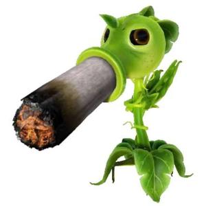 Smoking Onna Plant (feat. MasYn) (Explicit)