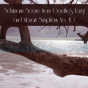 English Chamber Orchestra - Scenes from Goethe's Faust, WoO 3: IV. Faust's Transfiguration - Gerettet ist das edle Glied Engel