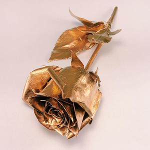 Rose Gold (Explicit)