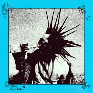 LEi NoN La VeDo DA UN Po' (Explicit)