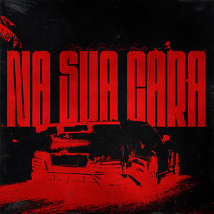 NA SUA CARA (SUPER SLOWED)