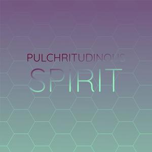 Pulchritudinous Spirit