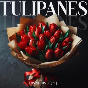 Tulipanes (Explicit)