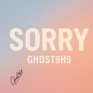 Sorry Drill (Remix)