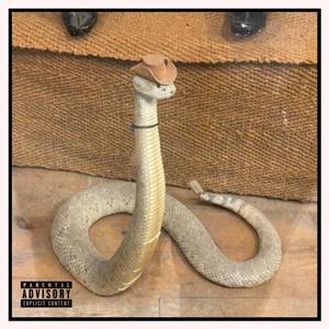 CURBSTOMP (Explicit)