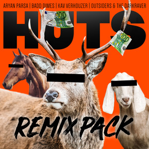HUTS (Aryan Parsa Remix|Explicit)