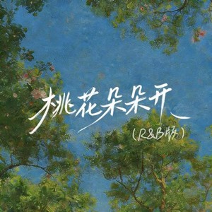 桃花朵朵开 (R&B版)封面