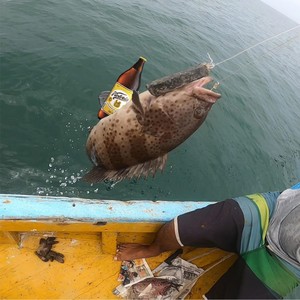 Mero Caguamero