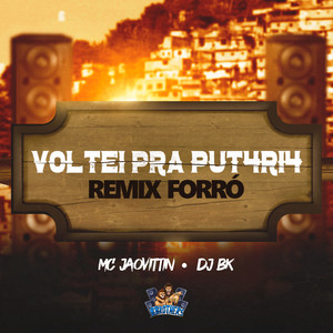 Voltei pra Putaria (Remix) [Explicit]