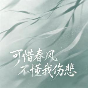 可惜春风不懂我伤悲-山风