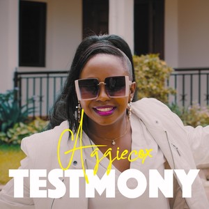 Testimony