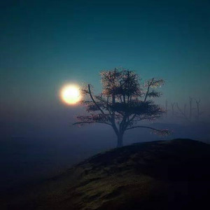 你的眼睛像星星