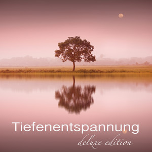 Tiefenentspannung Deluxe Edition – 8 Stunden Musik Für Tiefenentspannung und Autogenes Training, Schlaf Gut, Ruhe, Gesunder Schlaf, Entspannungsmusik für Wellness, Spa, Massage, Erholung, Meditation, Entspannung, Regeneration