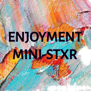 ENJOYMENT MINISTXR