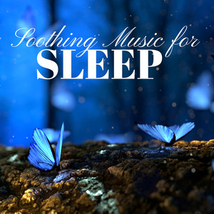 Soothing Music for Sleep CD - Most Beautiful Spa & Natural Songs