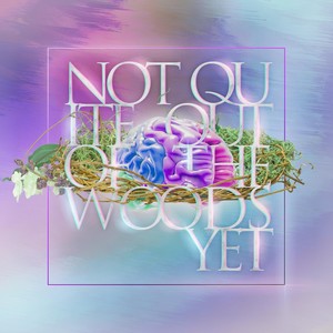 Not Quite out of the Woods Yet (Explicit)