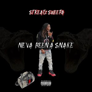 Neva Been A Snake (Explicit)