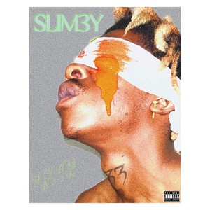 SLIM3Y (Explicit)