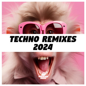 Techno Remixes 2024