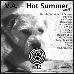 Hot Summer, Vol. 1