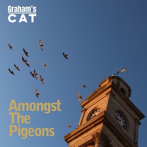 Amongst The Pigeons