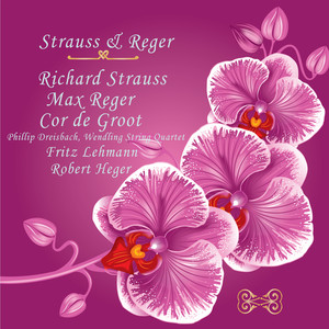 Strauss & Reger