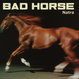 Bad Horse