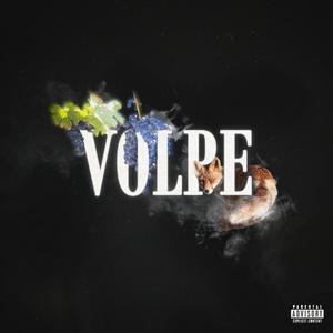 Volpe (Explicit)