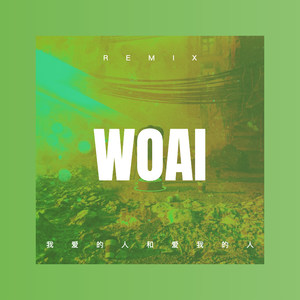 孙含 - 想你的时候问月亮 (DJ版)