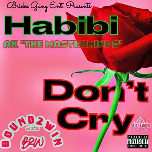Habibi Don't Cry (Explicit)