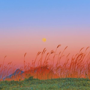 真爱假说 (DJ版)