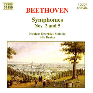 Symphony No. 5 in C Minor, Op. 67 - I. Allegro con brio