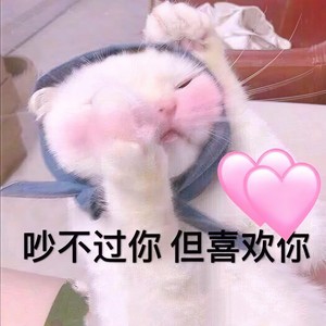落日飞行